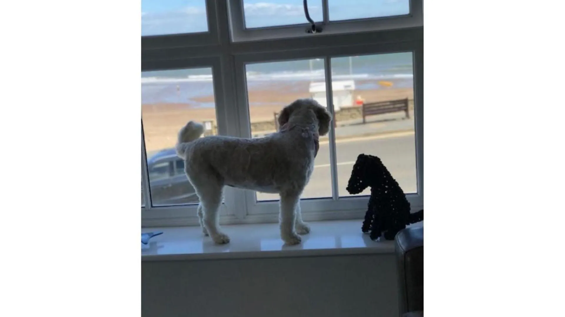 Turnstone Cottage Whitby 0*,  Reino Unido